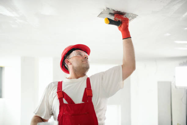 Best Repainting for Renovations  in Portsmouth, OH