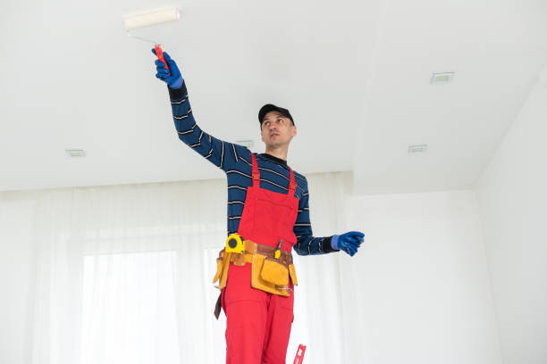 Best Drywall Sanding and Smoothing  in Portsmouth, OH